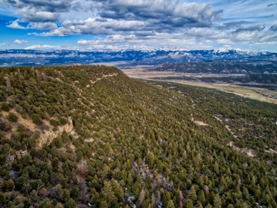 Lot With Easy Access for Sale in Ridgway, Colorado - image 22