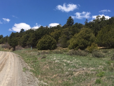 Lot With Easy Access for Sale in Ridgway, Colorado - image 7