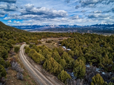 Lot With Easy Access for Sale in Ridgway, Colorado - image 21