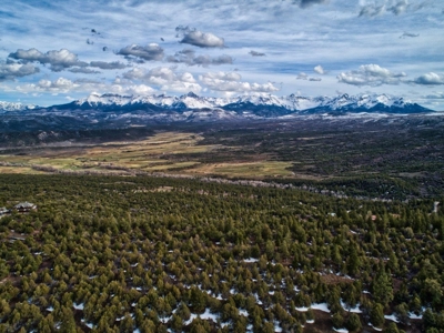 Lot With Easy Access for Sale in Ridgway, Colorado - image 23