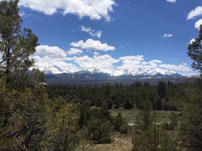 Lot With Easy Access for Sale in Ridgway, Colorado - image 9