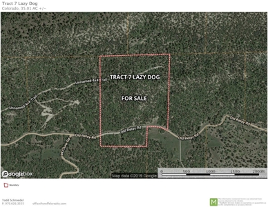 Lot With Easy Access for Sale in Ridgway, Colorado - image 1