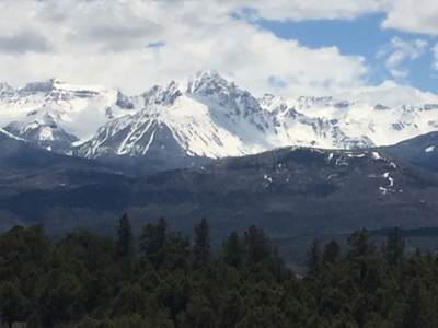 Lot With Easy Access for Sale in Ridgway, Colorado - image 4