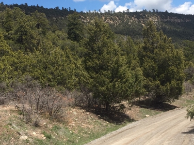 Lot With Easy Access for Sale in Ridgway, Colorado - image 5