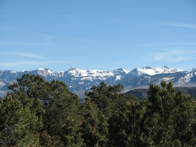 Lot With Easy Access for Sale in Ridgway, Colorado - image 11