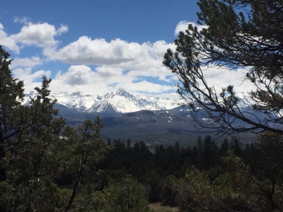 Lot With Easy Access for Sale in Ridgway, Colorado - image 8
