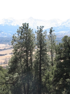 Lot With Easy Access for Sale in Ridgway, Colorado - image 10