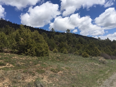 Lot With Easy Access for Sale in Ridgway, Colorado - image 6