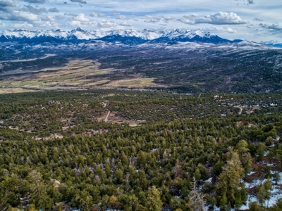 Lot With Easy Access for Sale in Ridgway, Colorado - image 18