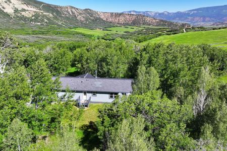 Mountain Home with Acreage and Irrigation in Collbran, CO - image 33