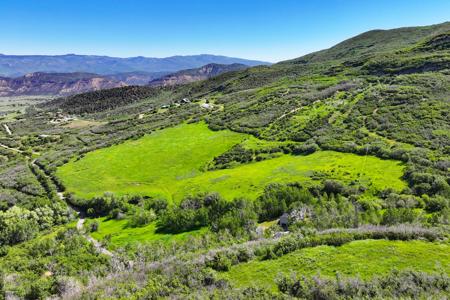 Mountain Home with Acreage and Irrigation in Collbran, CO - image 6