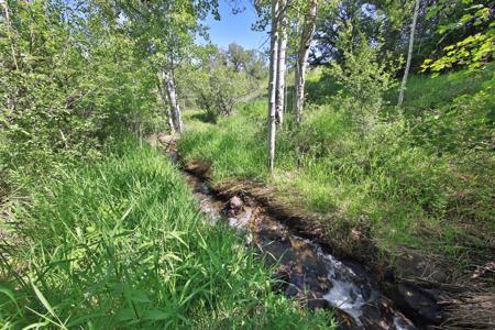 Mountain Home with Acreage and Irrigation in Collbran, CO - image 20