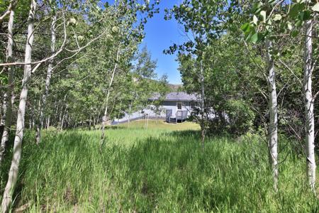 Mountain Home with Acreage and Irrigation in Collbran, CO - image 25