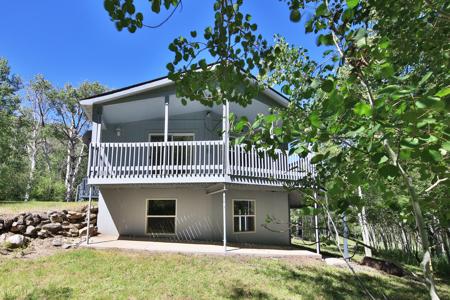 Mountain Home with Acreage and Irrigation in Collbran, CO - image 3