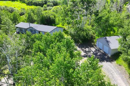 Mountain Home with Acreage and Irrigation in Collbran, CO - image 8