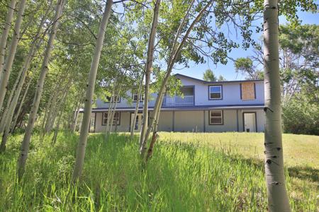 Mountain Home with Acreage and Irrigation in Collbran, CO - image 36