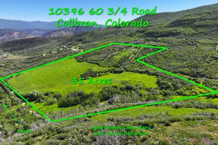 Mountain Home with Acreage and Irrigation in Collbran, CO - image 32