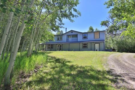 Mountain Home with Acreage and Irrigation in Collbran, CO - image 27