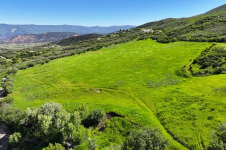 Mountain Home with Acreage and Irrigation in Collbran, CO - image 5