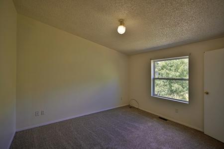 Mountain Home with Acreage and Irrigation in Collbran, CO - image 49