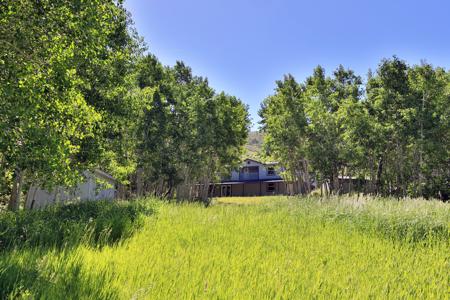 Mountain Home with Acreage and Irrigation in Collbran, CO - image 22