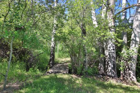 Mountain Home with Acreage and Irrigation in Collbran, CO - image 23