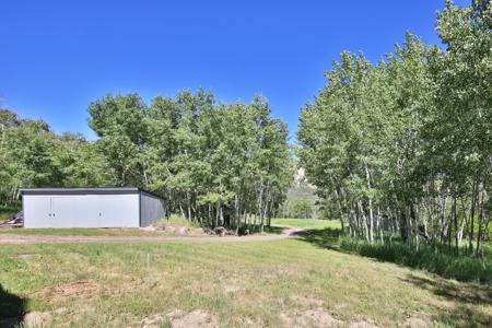 Mountain Home with Acreage and Irrigation in Collbran, CO - image 18