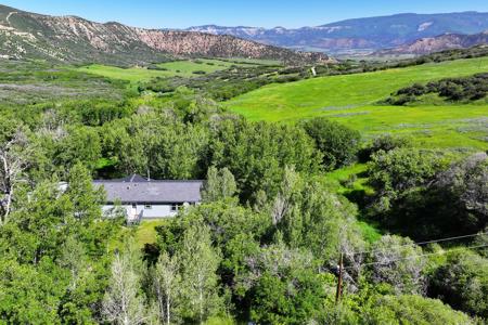 Mountain Home with Acreage and Irrigation in Collbran, CO - image 7