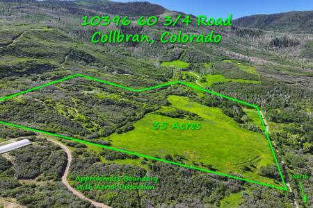 Mountain Home with Acreage and Irrigation in Collbran, CO - image 4