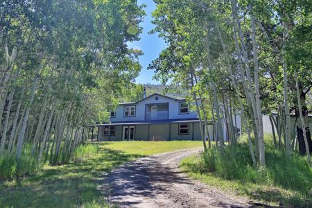 Mountain Home with Acreage and Irrigation in Collbran, CO - image 1