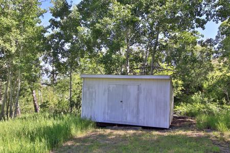 Mountain Home with Acreage and Irrigation in Collbran, CO - image 15