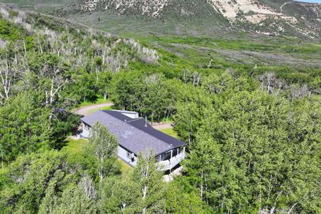 Mountain Home with Acreage and Irrigation in Collbran, CO - image 34