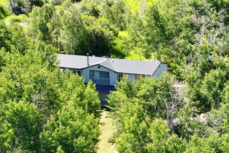 Mountain Home with Acreage and Irrigation in Collbran, CO - image 9