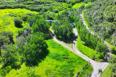 Mountain Home with Acreage and Irrigation in Collbran, CO - image 10