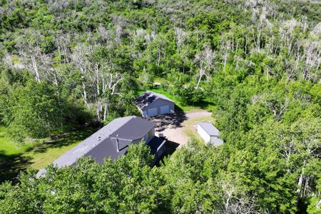 Mountain Home with Acreage and Irrigation in Collbran, CO - image 29