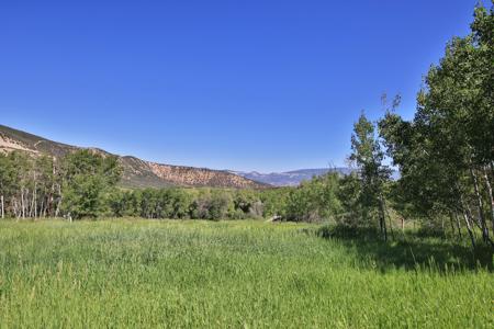 Mountain Home with Acreage and Irrigation in Collbran, CO - image 21