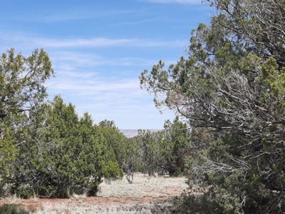Gorgeous secluded off grid property - image 6