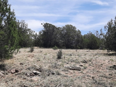 Gorgeous secluded off grid property - image 1