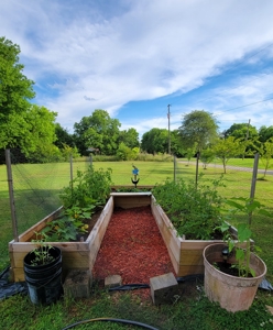 Historic Home For Sale, Fruit Trees, Garden, No Restrictions - image 26
