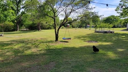 Historic Home For Sale, Fruit Trees, Garden, No Restrictions - image 25