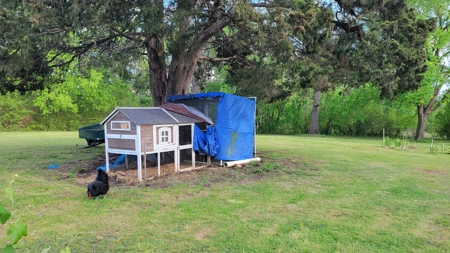 Historic Home For Sale, Fruit Trees, Garden, No Restrictions - image 30