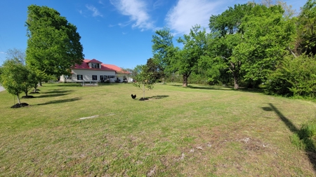 Historic Home For Sale, Fruit Trees, Garden, No Restrictions - image 2