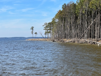 Great Waterfront Property - image 3