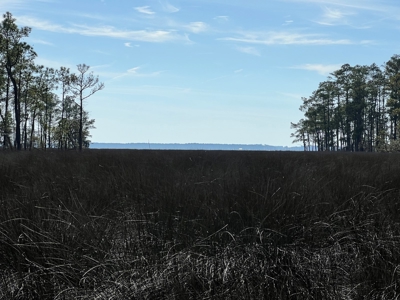 Great Waterfront Property - image 32