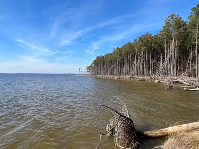 Great Waterfront Property - image 2