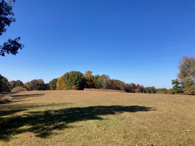 Charming 40-Acre Park-Like Setting - image 7
