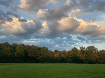 Charming 40-Acre Park-Like Setting - image 27