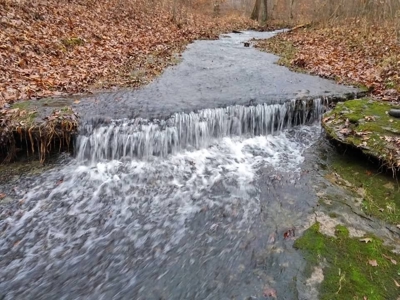 Charming 40-Acre Park-Like Setting - image 22