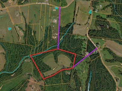 Charming 40-Acre Park-Like Setting - image 13