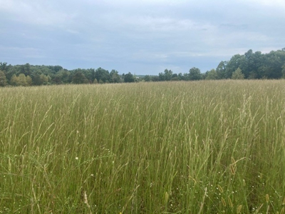 Charming 40-Acre Park-Like Setting - image 33